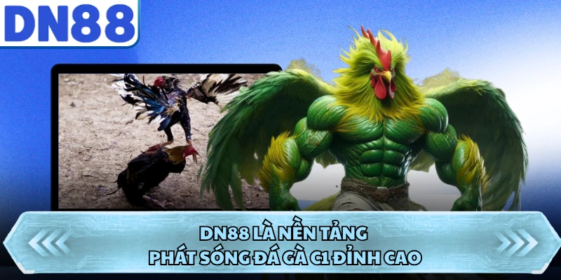 DN88 là nền tảng phát sóng đá gà C1 đỉnh cao